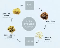 Balance Your Hormones With Seed Cycling