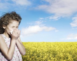 14 Proactive Steps Before Allergies Begin